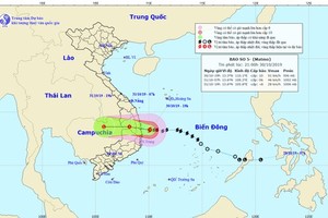 Typhoon Matmo will turn into tropical depression this morning 