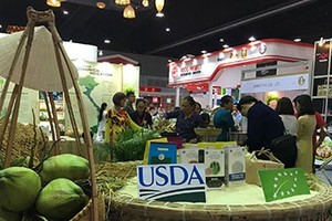 (Illustrative photo:SGGP)