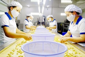 (Illustrative photo:SGGP)