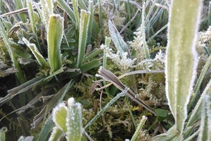 Northern region to welcome December in chilly temperature