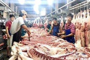 Prices of fruits, vegetables and pork tend to reduce 