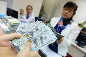 Dollar supply source is forecast to decline in the domestic market this year, given by weaker foreign direct investment (FDI) inflows and exports.