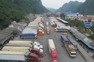 (Photo: Pham Hau/ VNA)