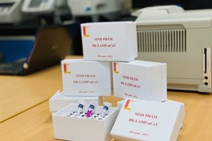 The quick test kit shortens the testing time to 70 minutes instead of four hours. (Photo courtesy of Hanoi University of Science and Technology)