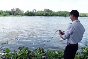 Nearly 30,000 hectares of rice crops lost due to salinity, drought