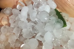Hail leaves one dead, nearly 5,000 damaged houses in North 