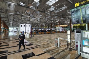 Embassy supports Vietnamese stranded in Singapore due to COVID-19