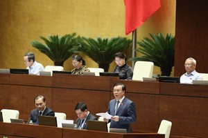 Minister of Finance Dinh Tien Dung (standing) speaks at the plenary sitting on June 15 (Photo: VNA)