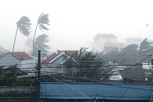 (Illustrative photo:SGGP)