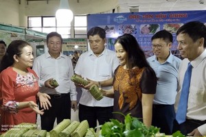 Deputy Minister of Agriculture and Rural Development Tran Thanh Nam attends in the opening ceremony of the Safe Agriculture Week Fair 2020