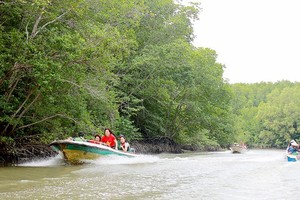 Ho Chi Minh City supports tourism businesses in inter-regional connection