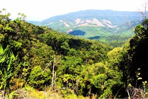 Sustainable Forest Restoration and Management Project in the Central and the Northern regions of Vietnam” (KfW9 Phase 1) worth more than VND105 billion (more than EUR4.2 million)
