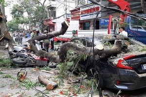 (Illustrative photo: the General Department on Natural Disaster Prevention and Control)