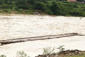 (Illustrative photo:SGGP)