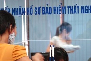 Unemployment insurance applicants increase sharply in Dong Nai