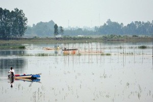 Mekong Delta to see peak of flood season in late September  