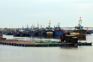 In his dispatch, the PM asked ministries, agencies, and localities to give top priority to ensuring the safety of life and property (Photo: VNA)