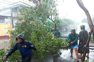 Storm Molave leaves 83 dead, missing in Central Vietnam 