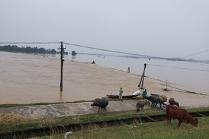 Floodwater kills seven people in Nghe An Province