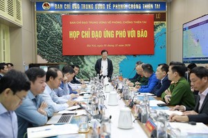 Deputy Prime Minister Trinh Dinh Dung speaks at the meeting. (Photo: Pham Ngoc Ha)