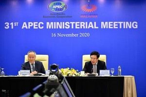 Vietnam attends 31st APEC Ministerial Meeting