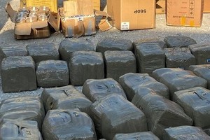 More than 665 kilograms of dried marijuana-based drug are seized. 