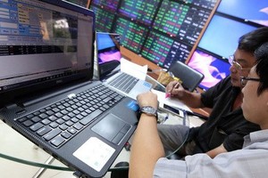 Illustrative image (Photo: VNA)