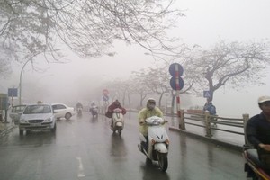 (Illustrative photo:SGGP)