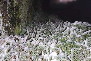 Mau Son mountain peak covered with snow, ice 