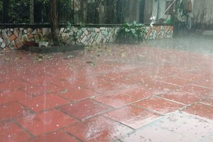 (Illustrative photo:SGGP/Hoang Anh)