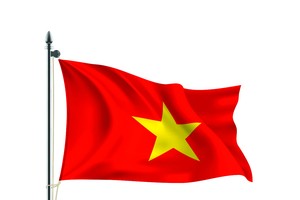 Vietnam’s significant efforts to raise prestige, position in international arena