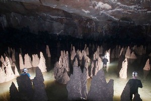 Phong Nha-Ke Bang National Park topped the list of “Most Hospitable Destination” in Vietnam via annual Traveler Review Awards 2020 announced by Booking.com. 