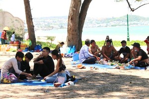 Karaoke lounges, bars, discos in Binh Thuan suspended operation from May 3