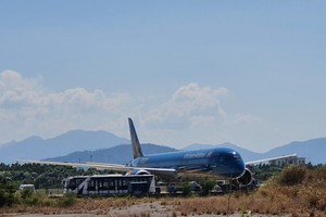 Da Nang proposes suspending repatriation flights from foreign countries 