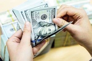 Trend of international bonds encourages risks