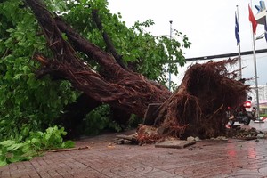 HCMC strengthens measures against natural disasters