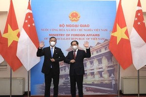 Vietnam, Singapore to work towards bilateral agreement on digital economy