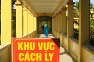 Passenger transport activities on Quang Ngai-Binh Duong route suspended 