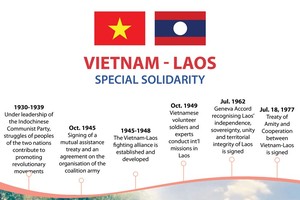 Vietnam - Laos special solidarity