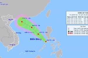 Localities urged to deal with tropical depression in East Sea 
