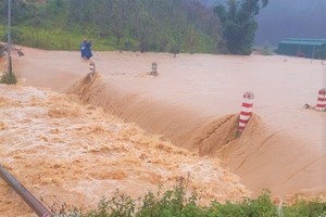 Lam Dong Province urged to evacuate people from flood-prone areas