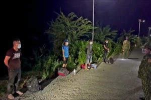 Long An detects ten illegal immigrants from Cambodia 