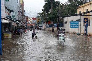Mekong Delta able to reach levels 1-2 flood peak in 2021