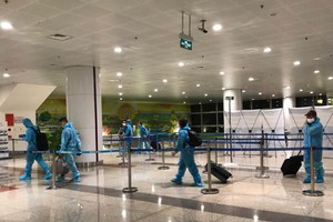 Functional agencies proposed to issue immigration instructions for Vietnamese 