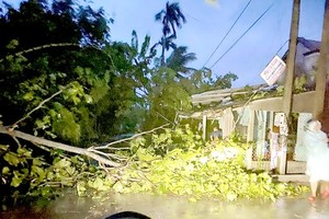 Storm Dianmu downgrades to low-pressure zone as of September 24 morning 