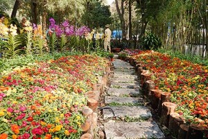 HCMC Spring Flower Festival 2022 to take place in 11 days