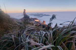 Fansipan mountaintop covered in hoarfrost 