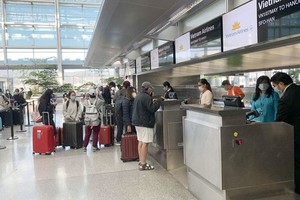 Domestic airfare reduces sharply