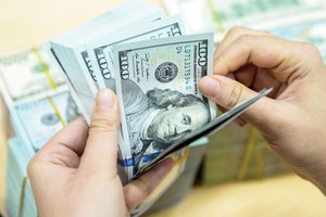 Vietnam foreign exchange reserves stable