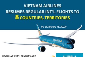 Vietnam Airlines resumes regular int'l flights to 8 countries, territories